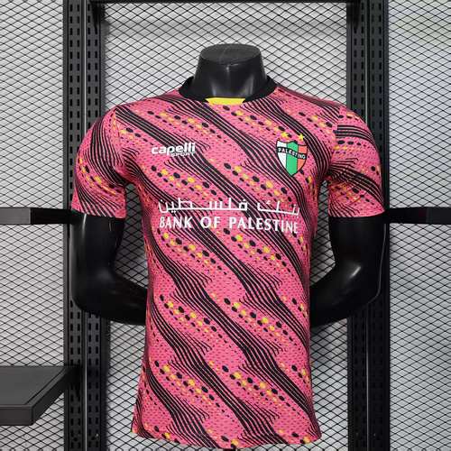 2025/2026 Player Version  Palestino  Football Shirt 1:1 Thai Quality