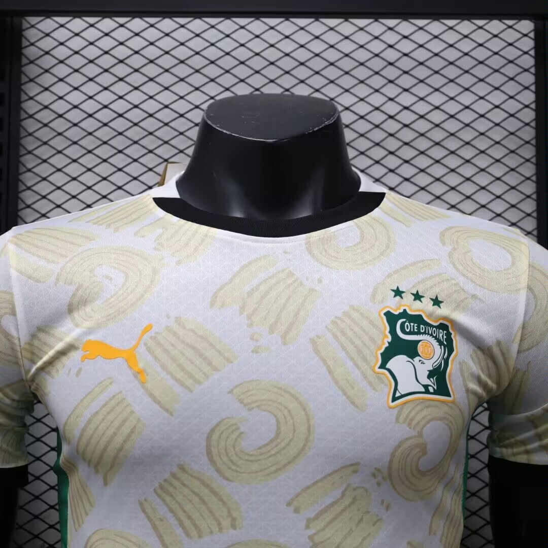 2024 Player Version Ivory Coast Away Football Shirt