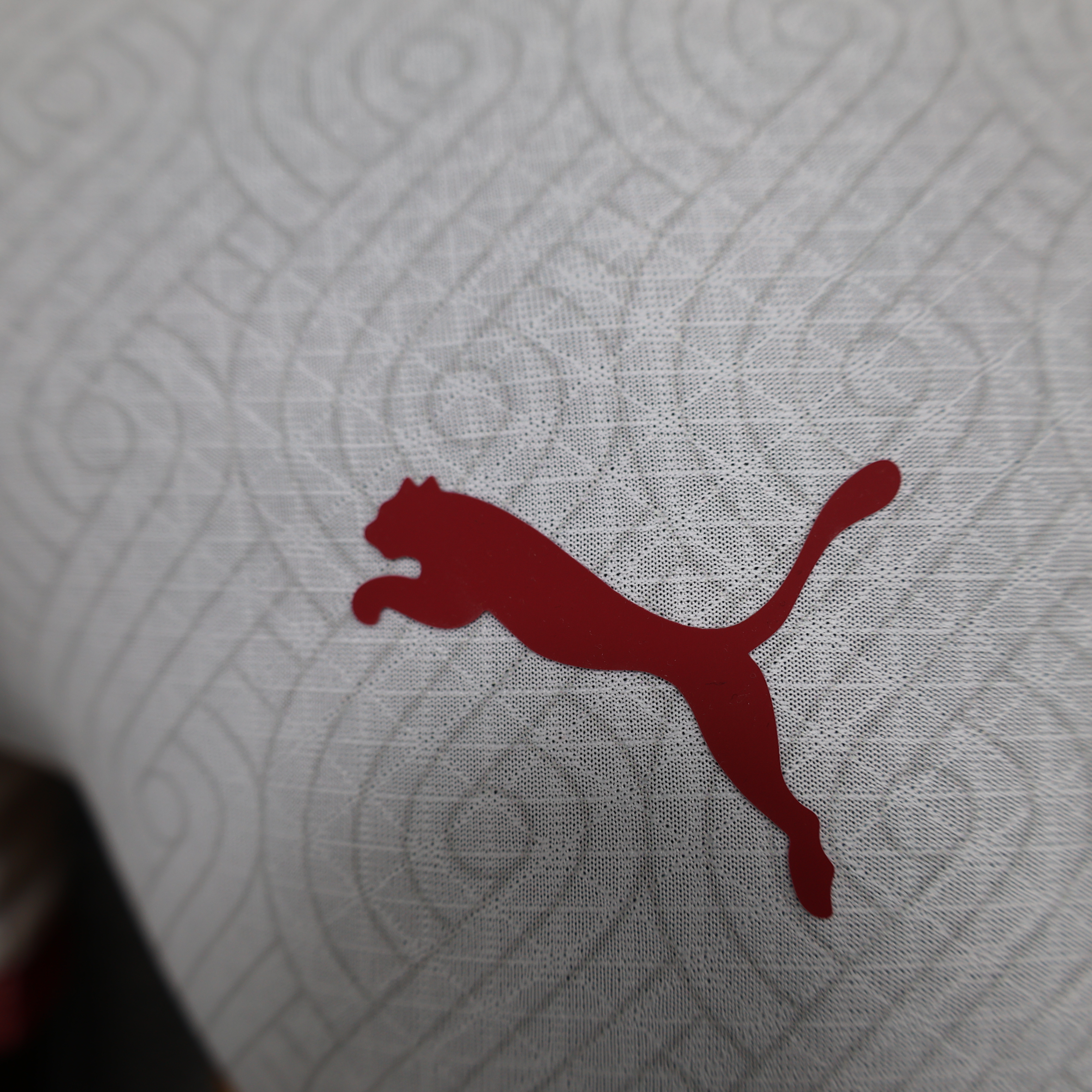 2024/2025 Player Version Galatasaray Away Football Shirt