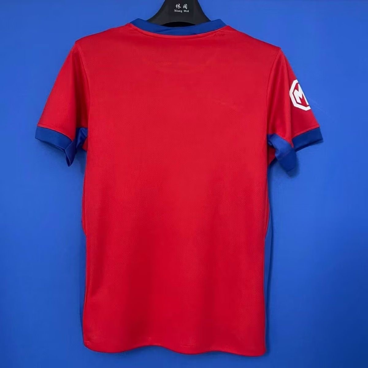 2025/2026 FCSB Home Football Shirt 1:1Thai Quality
