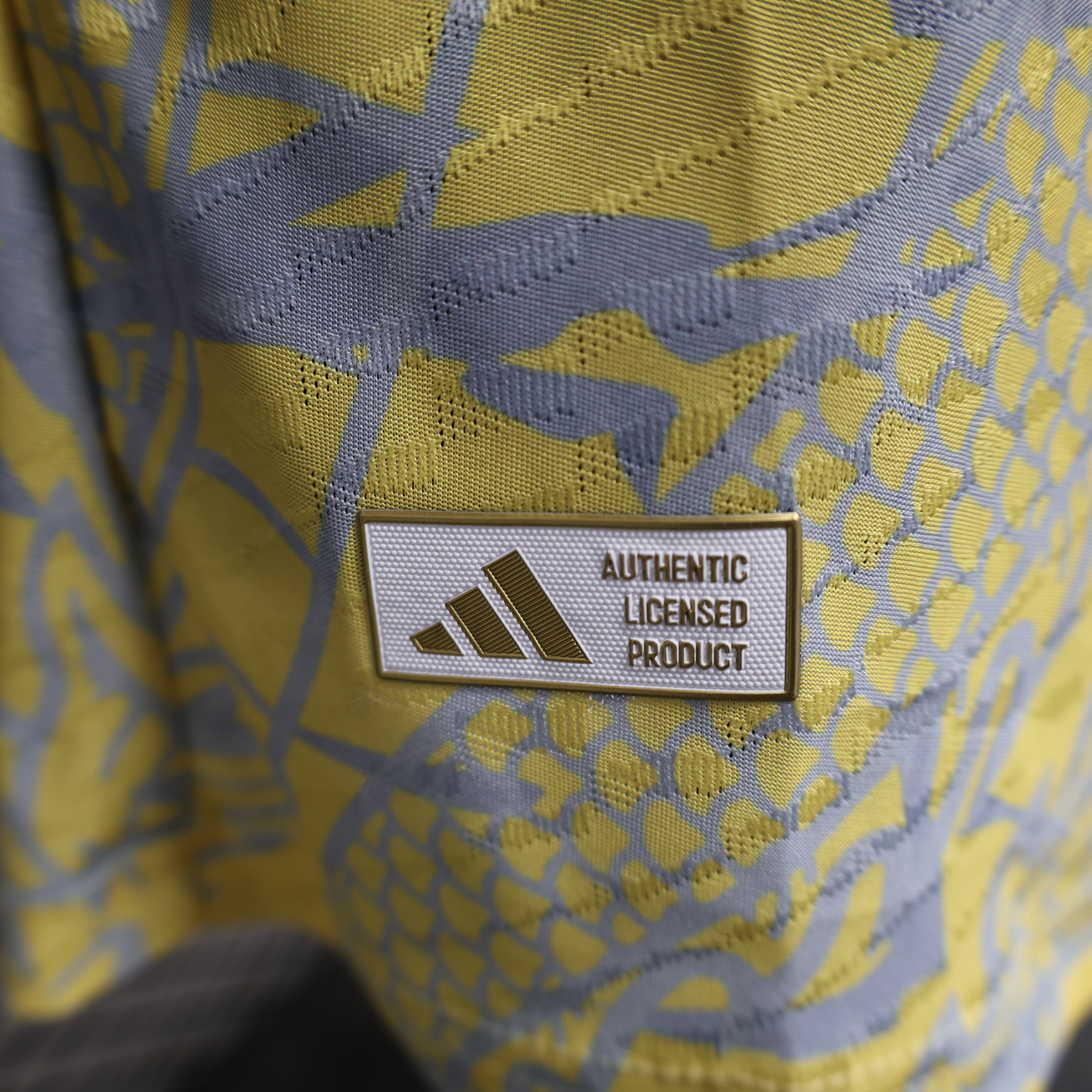 2024/2025 Authentic Real Madrid Special Edition Football Jersey