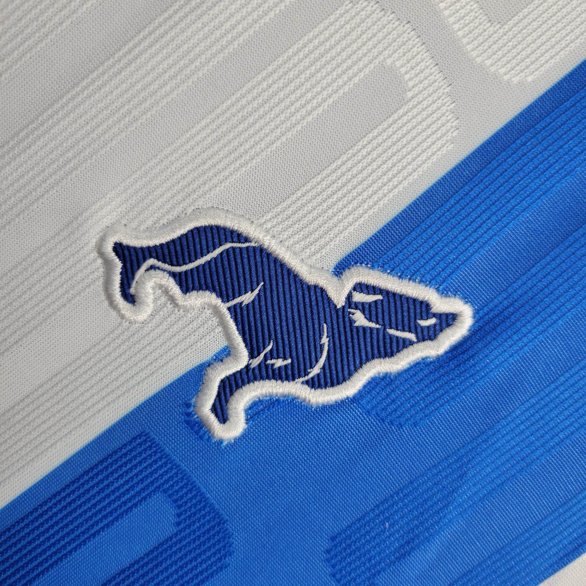 2024/2025 Paysandu Home Football Shirt