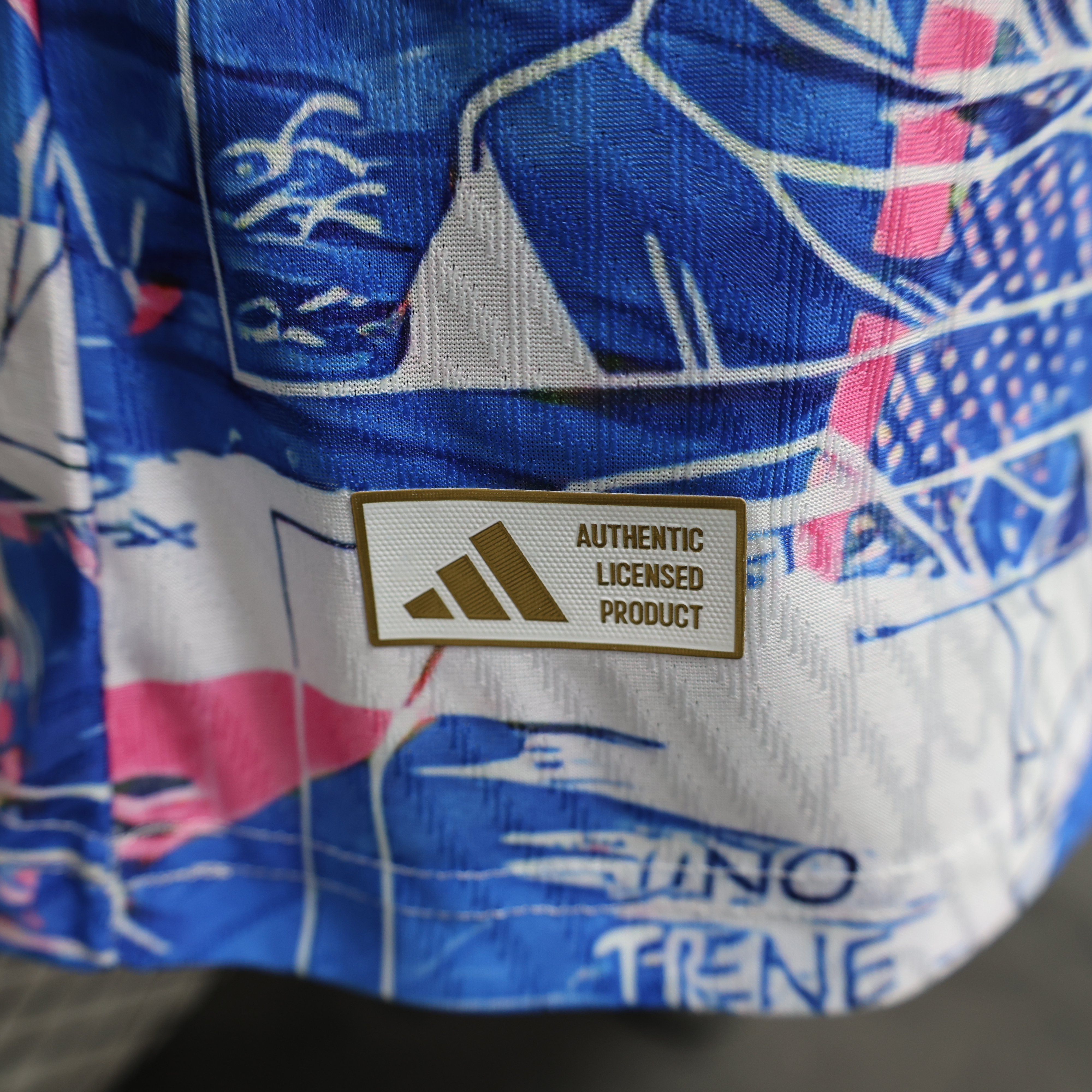 2024 Player Edition Japan Special Edition Football Shirt