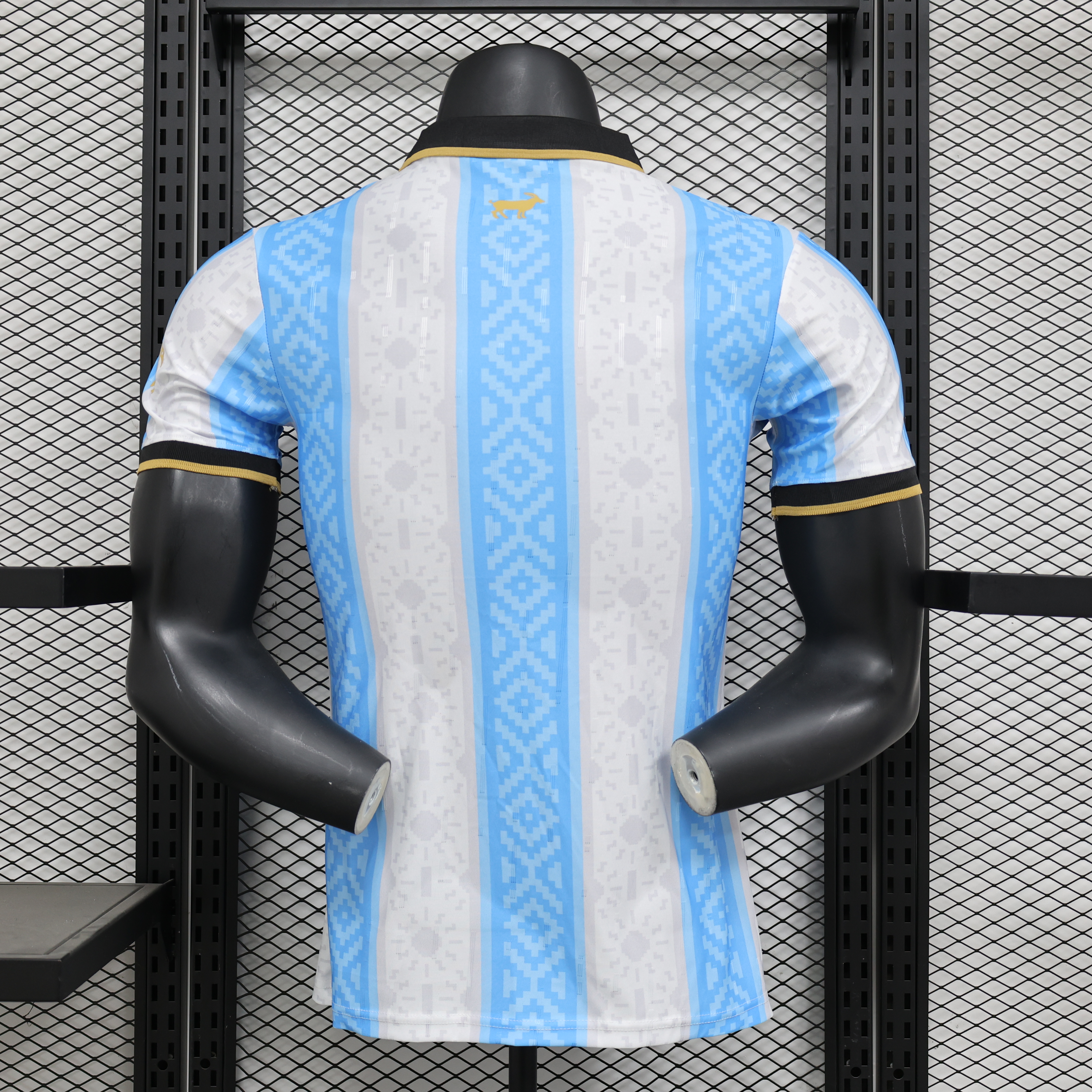 2024 Argentina Special Edition Football Jersey