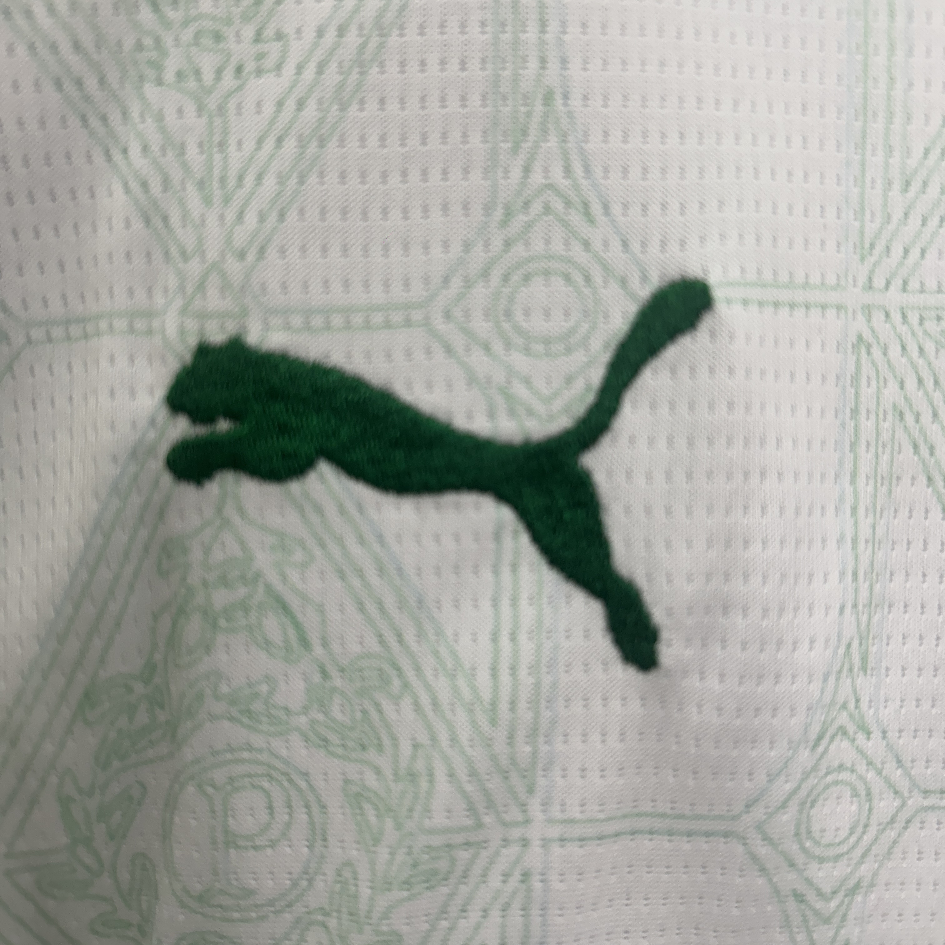 2025/2026 Palmeiras Away FootballShirt Kids Size 1:1 Thai Quality