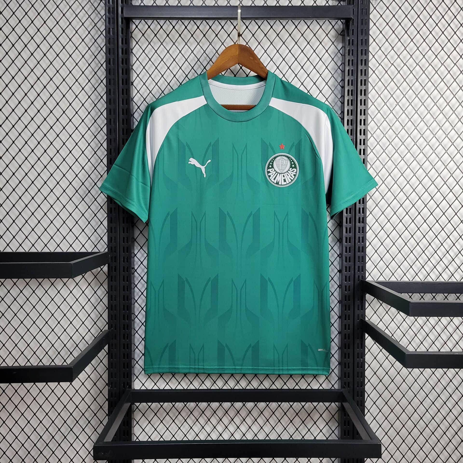 2024/2025 Palmeiras Training Wear Football Shirt