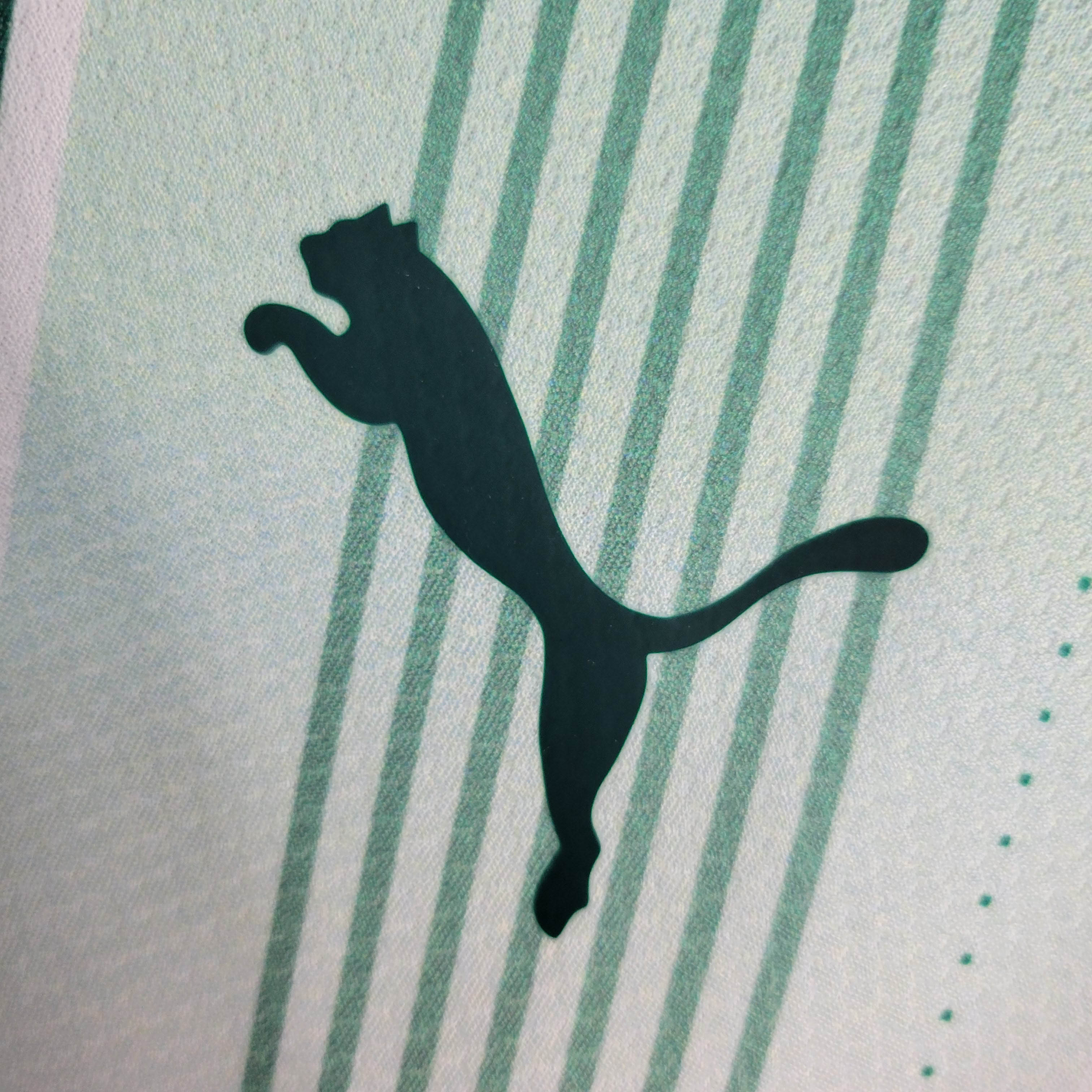 2023/2024 Palmeiras Away Football Shirt