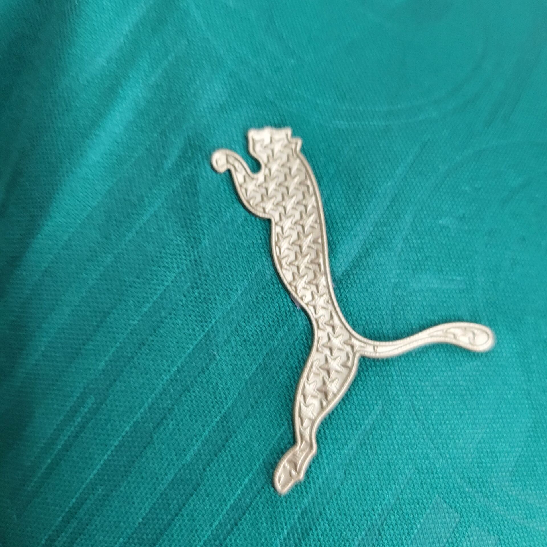 2024/2025 Player Version Palmeiras Home Football Shirt