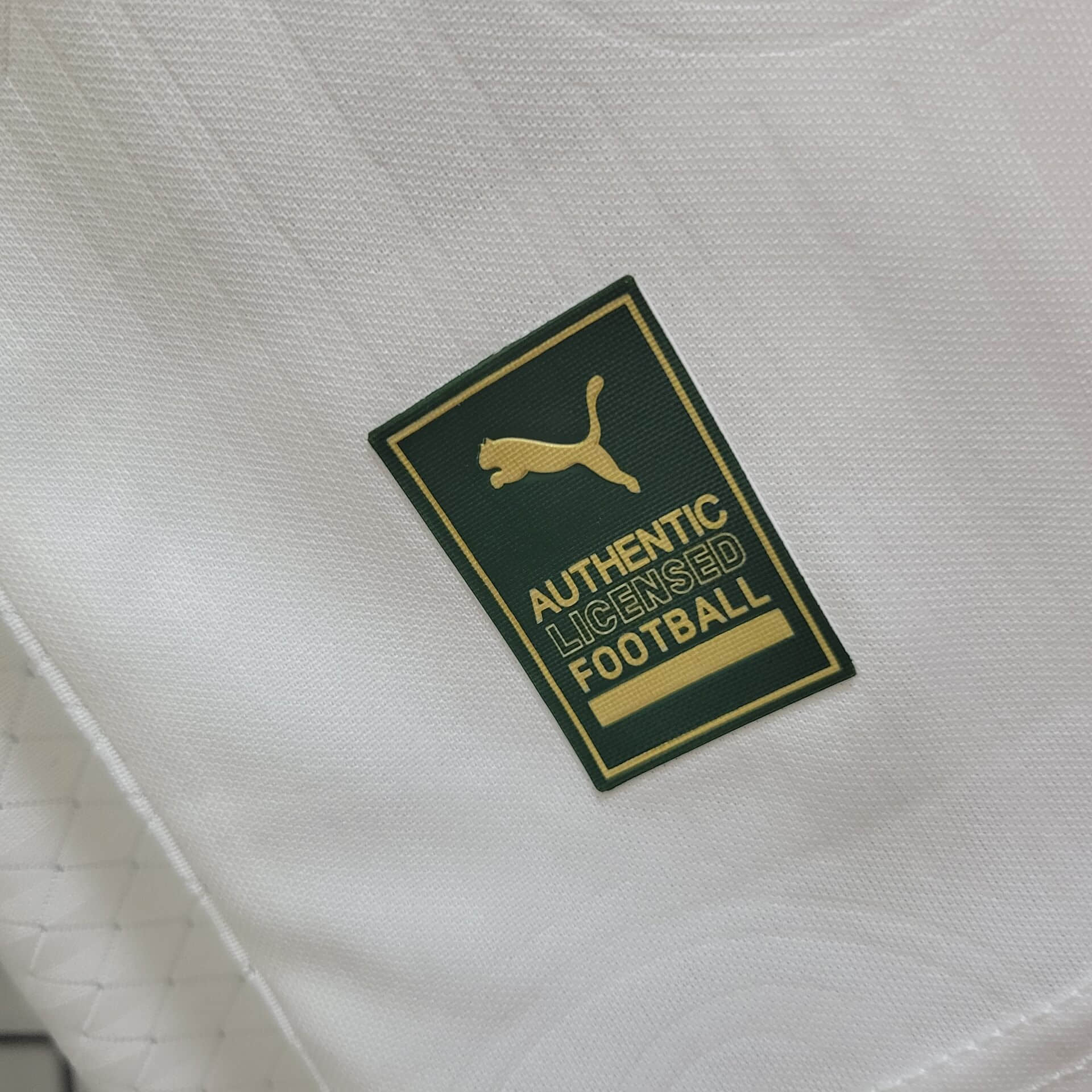 2024/2025 Player Version Palmeiras Away Football Shirt