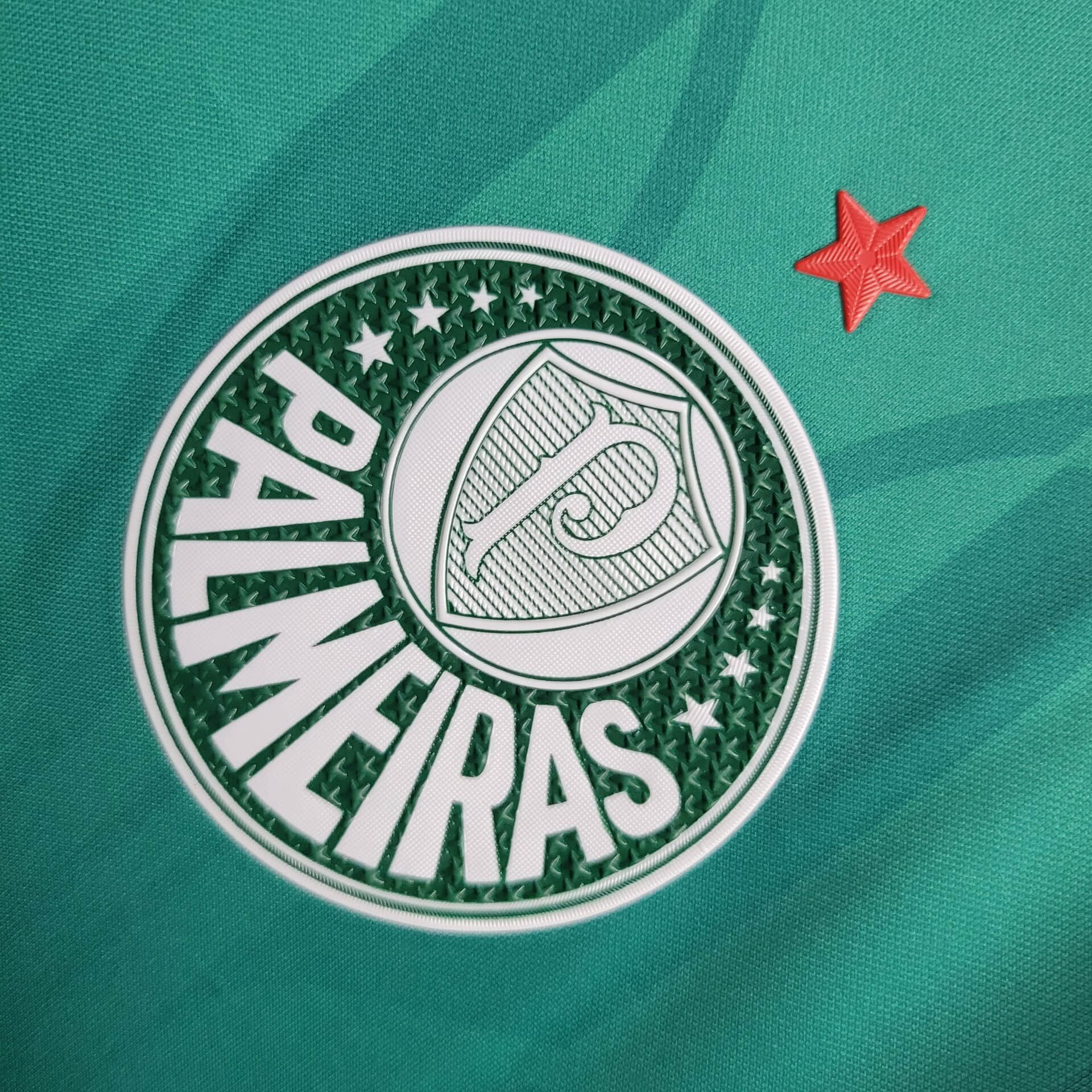 2024/2025 Palmeiras Training Wear Football Shirt