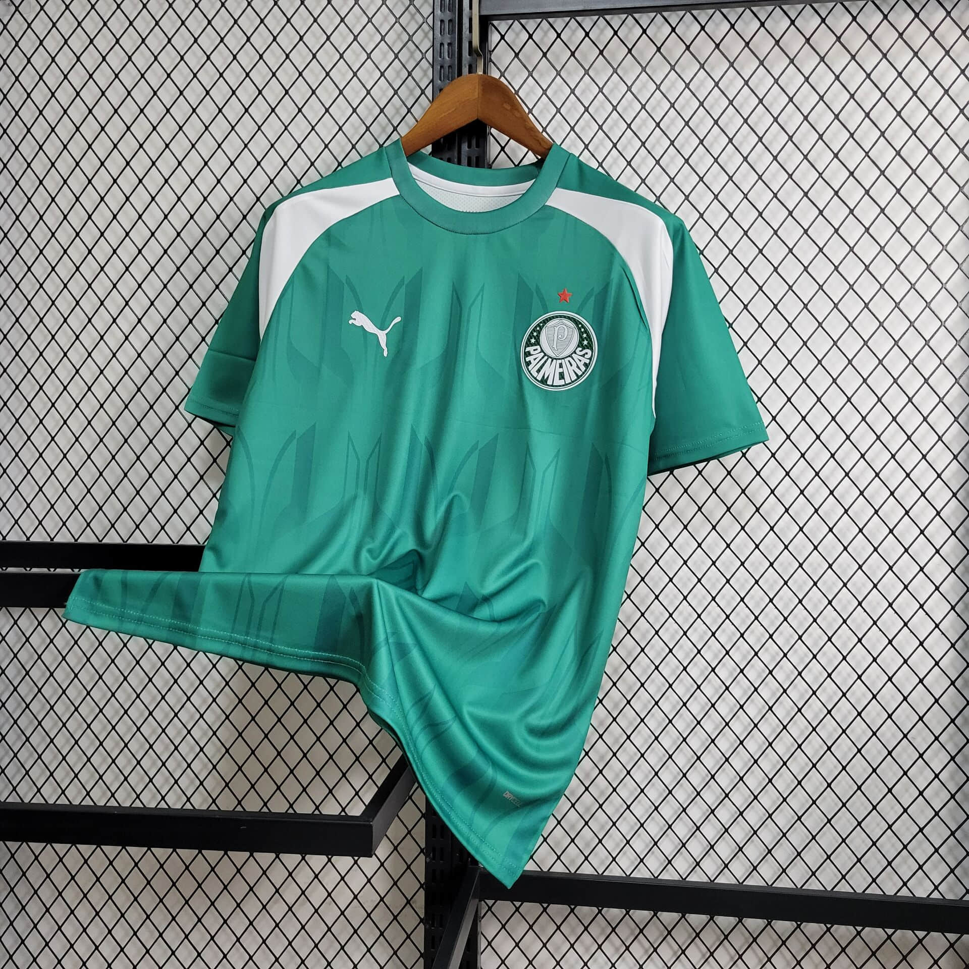 2024/2025 Palmeiras Training Wear Football Shirt