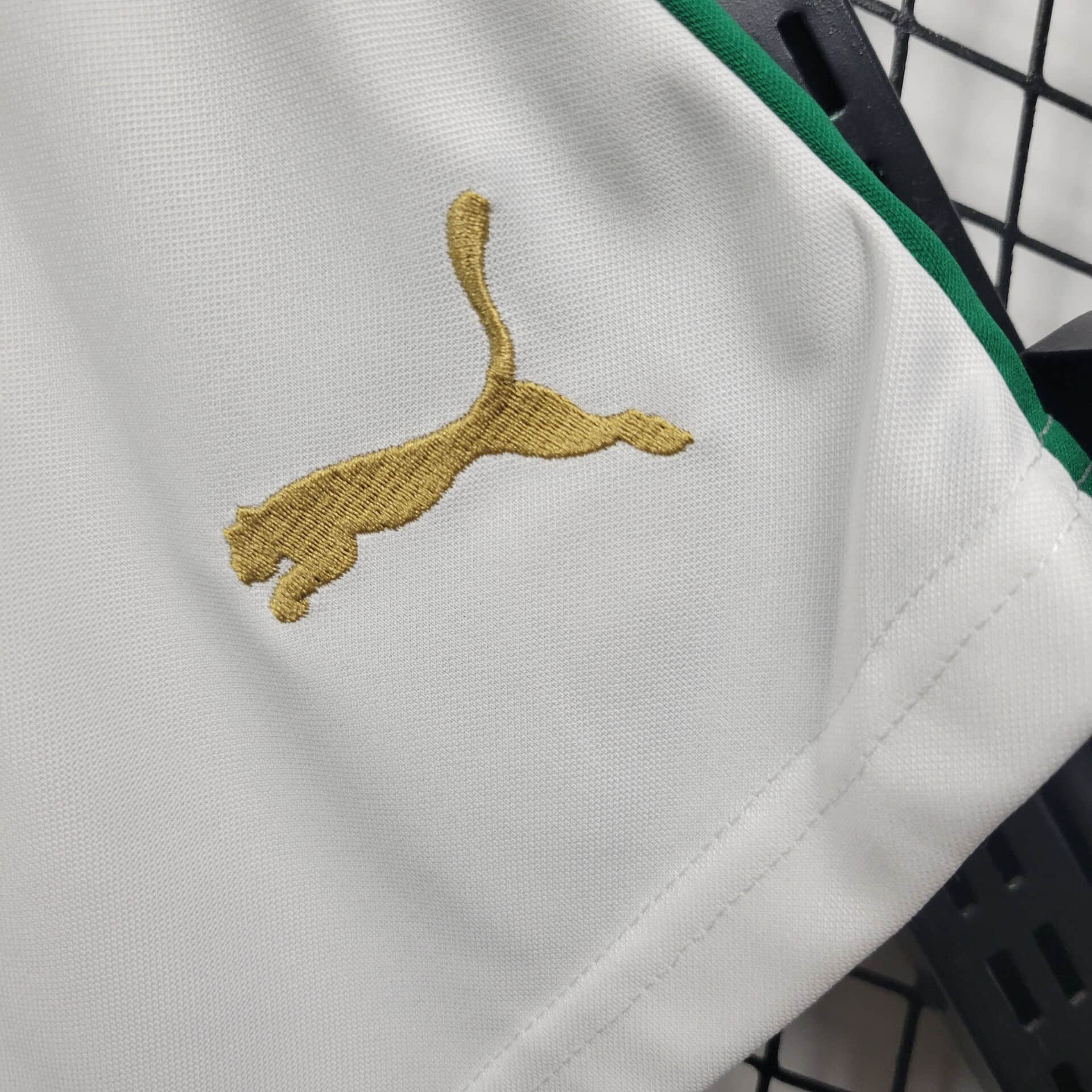 2024/2025 Palmeiras Away Shorts