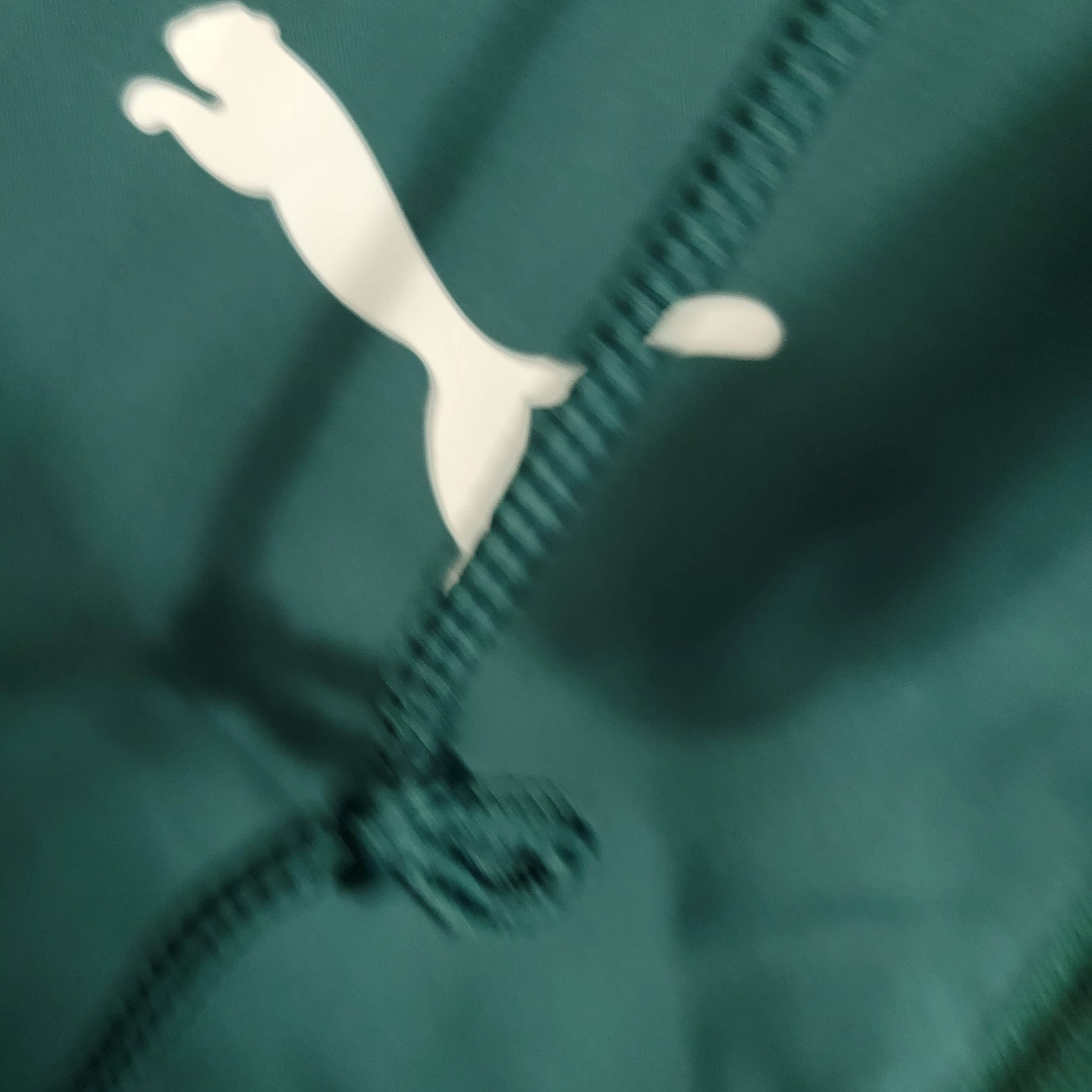 2023/2024 Palmeiras Windbreaker Football Shirt