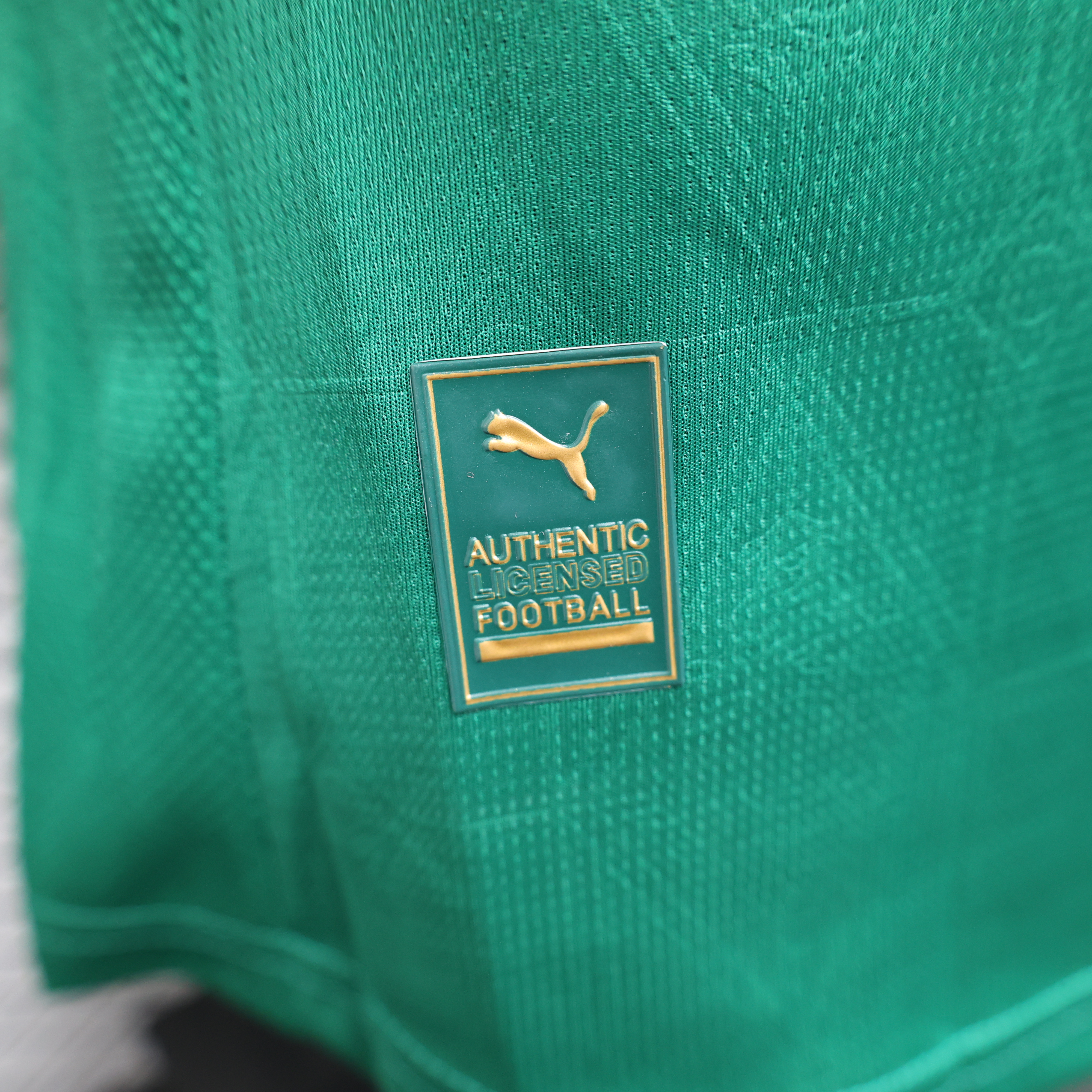 2025/2026 Player Version Palmeiras Home Football Shirt