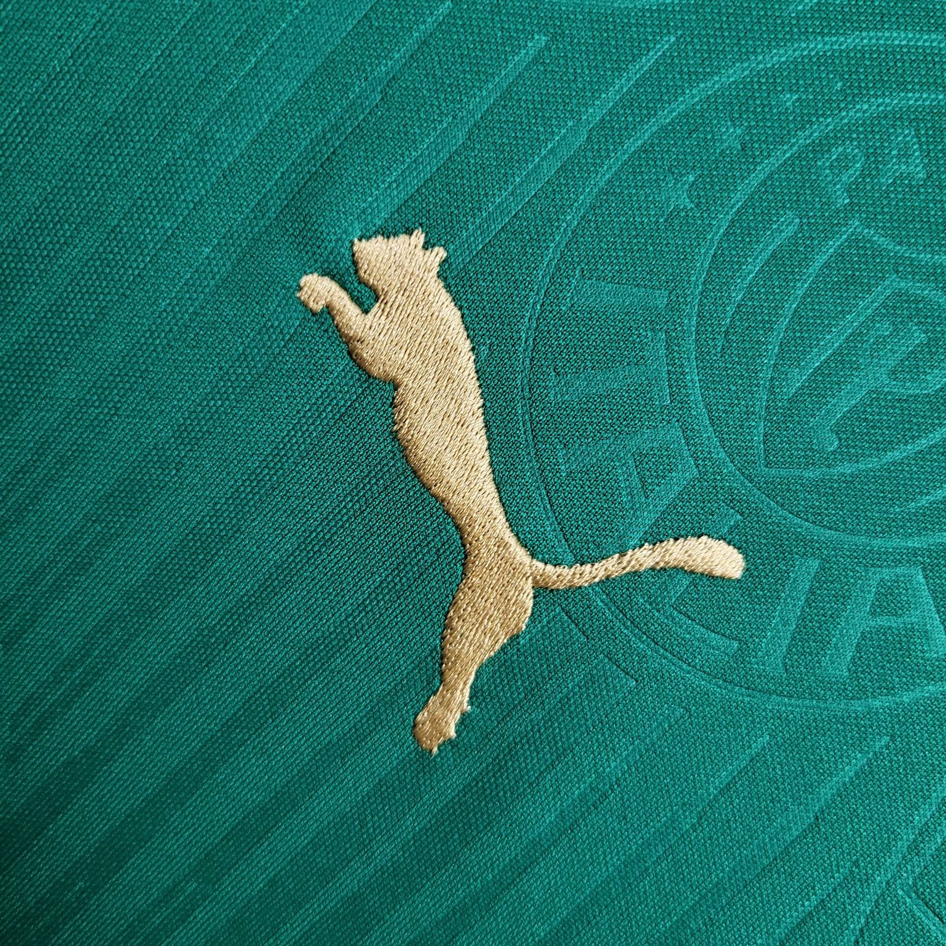 2024/2025 Palmeiras Home Football Shirt