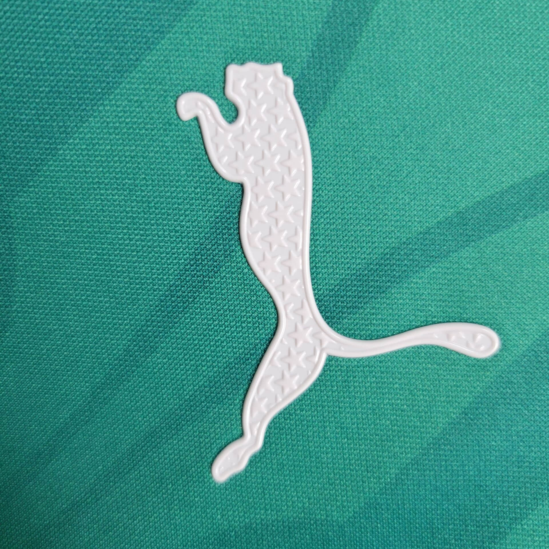 2024/2025 Palmeiras Training Wear Football Shirt