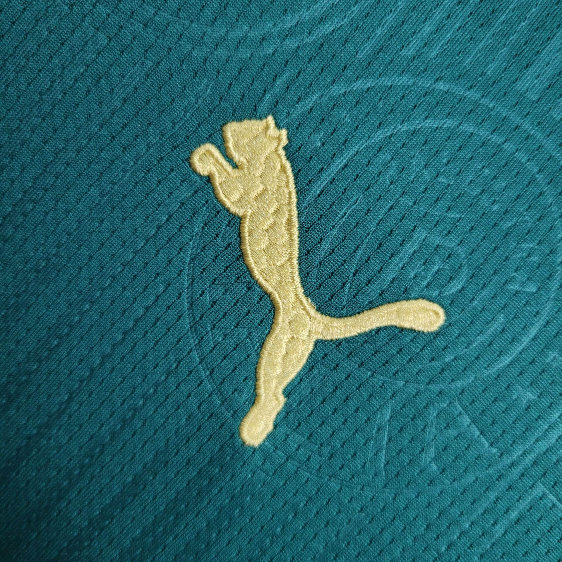 2024/2025 Palmeiras Home Football Shirt Kids Size