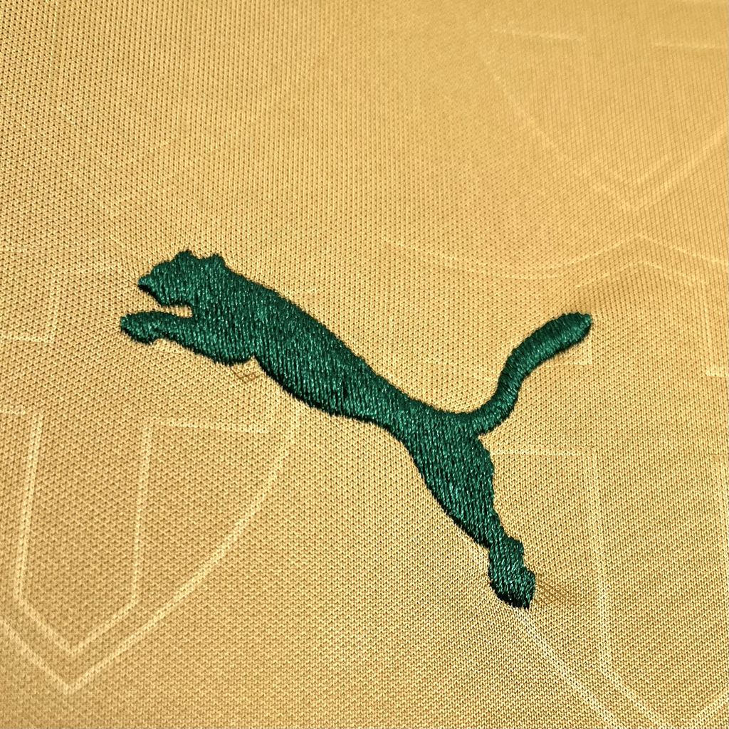 2024/2025 Palmeiras Third Away Football Shirt