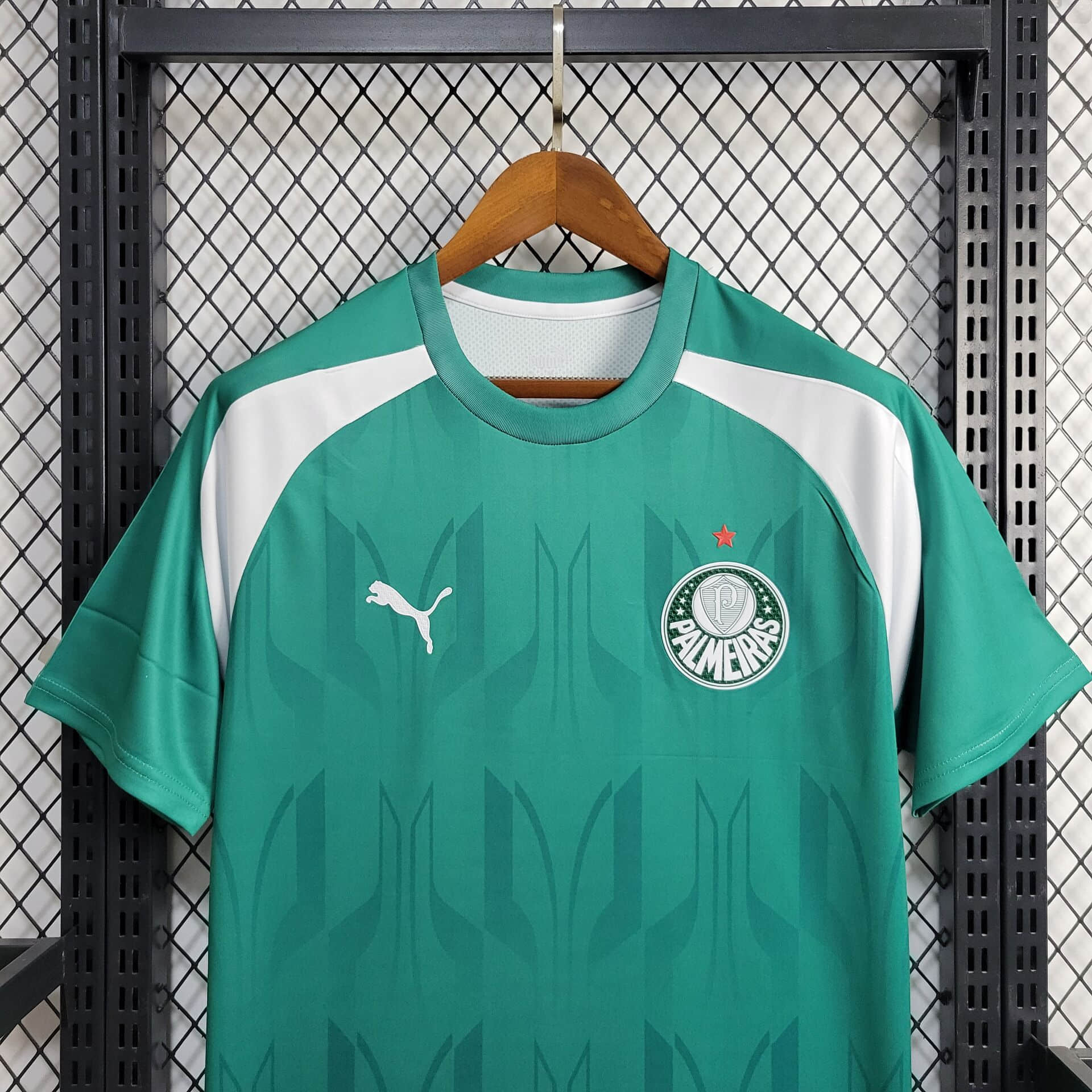 2024/2025 Palmeiras Training Wear Football Shirt