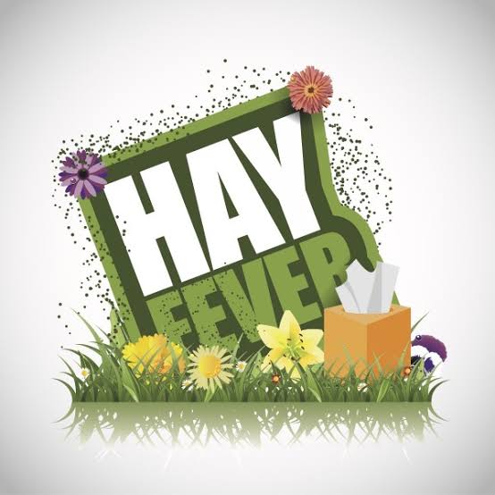 New WALA POP 10000 Puffs Disposable Vape 20 Flavors(Chance to Win $ or Device )