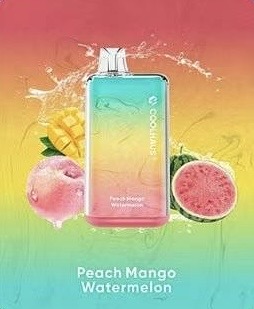 new COOLHAUS 8000 Puffs 10 Flavors