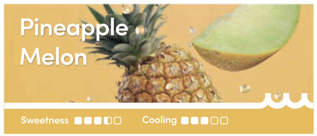 WAKA soPRO PA10000 Puffs 27 Flavors