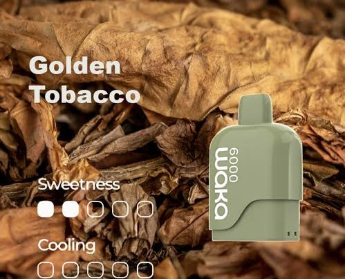 WAKA SoMatch MB6000 Pod ONLY 16Flavors