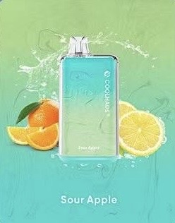 new COOLHAUS 8000 Puffs 10 Flavors