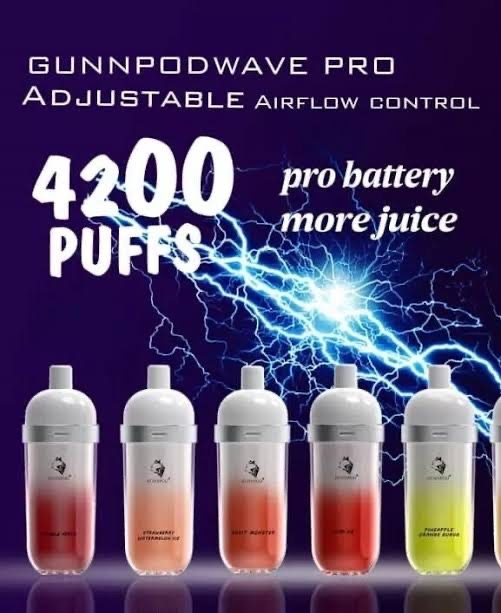 Wave Pro 4200 14 Flavors
