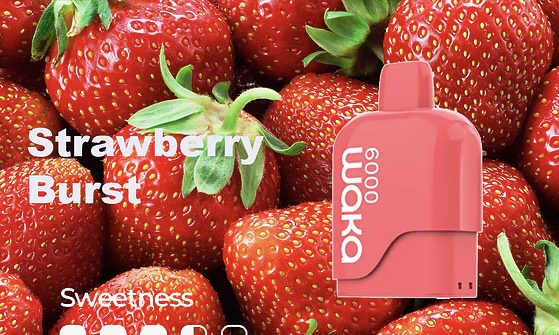 WAKA SoMatch MB6000 Pod ONLY 16Flavors