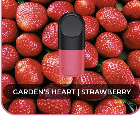 RELX Infinity Single Pod