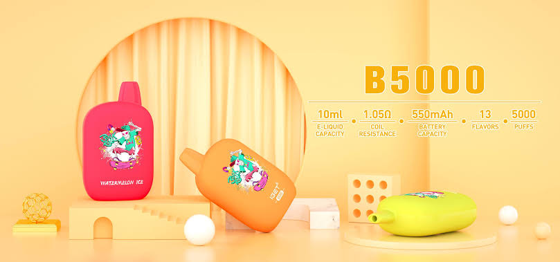 IGET B5000 Puffs 13 Flavors