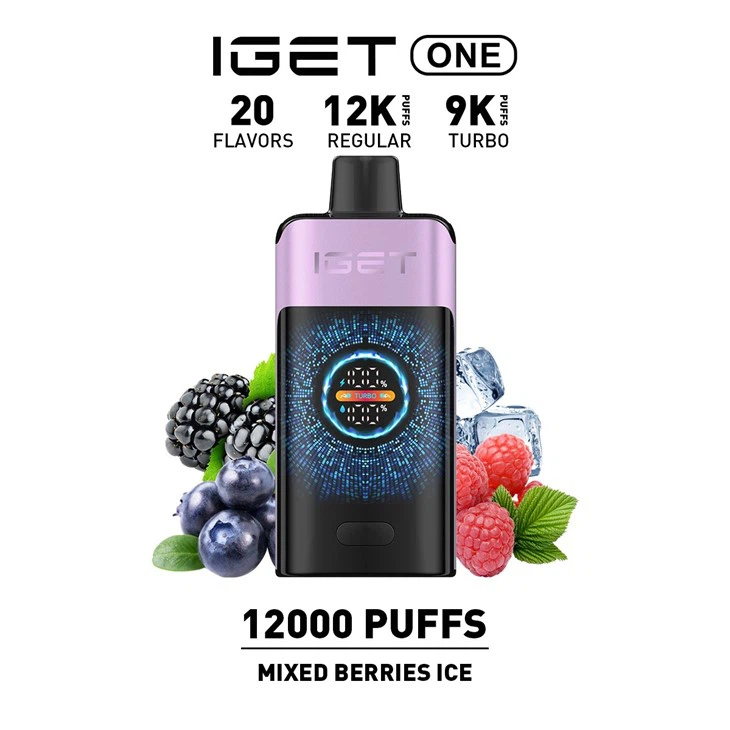New IGET ONE 12000 Puffs 12 Flavors
