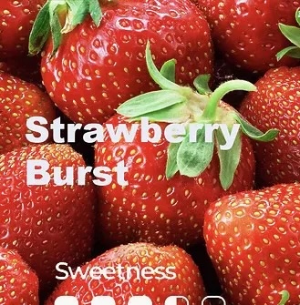 WAKA SoMatch MB3000 Disposable Pod ONLY 10 Flavors