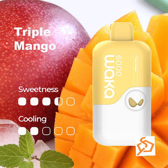 WAKA SoMatch MB6000 Pod ONLY 16Flavors