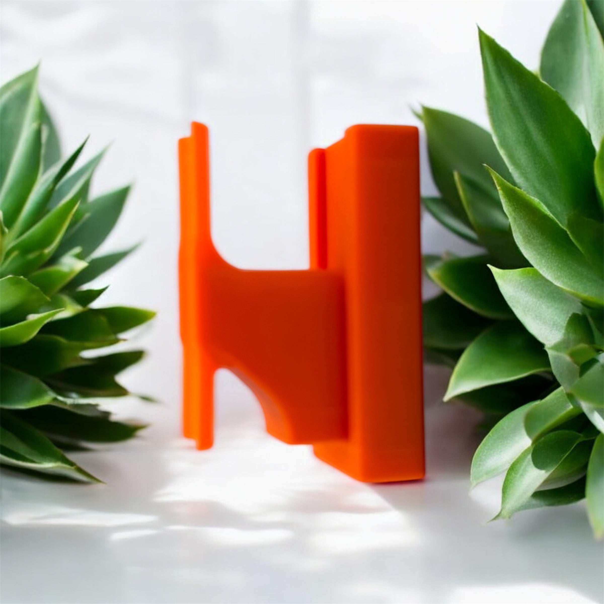 ✨LAST DAY ONLY 49% OFF🔥Fishing Rod Wall Rack