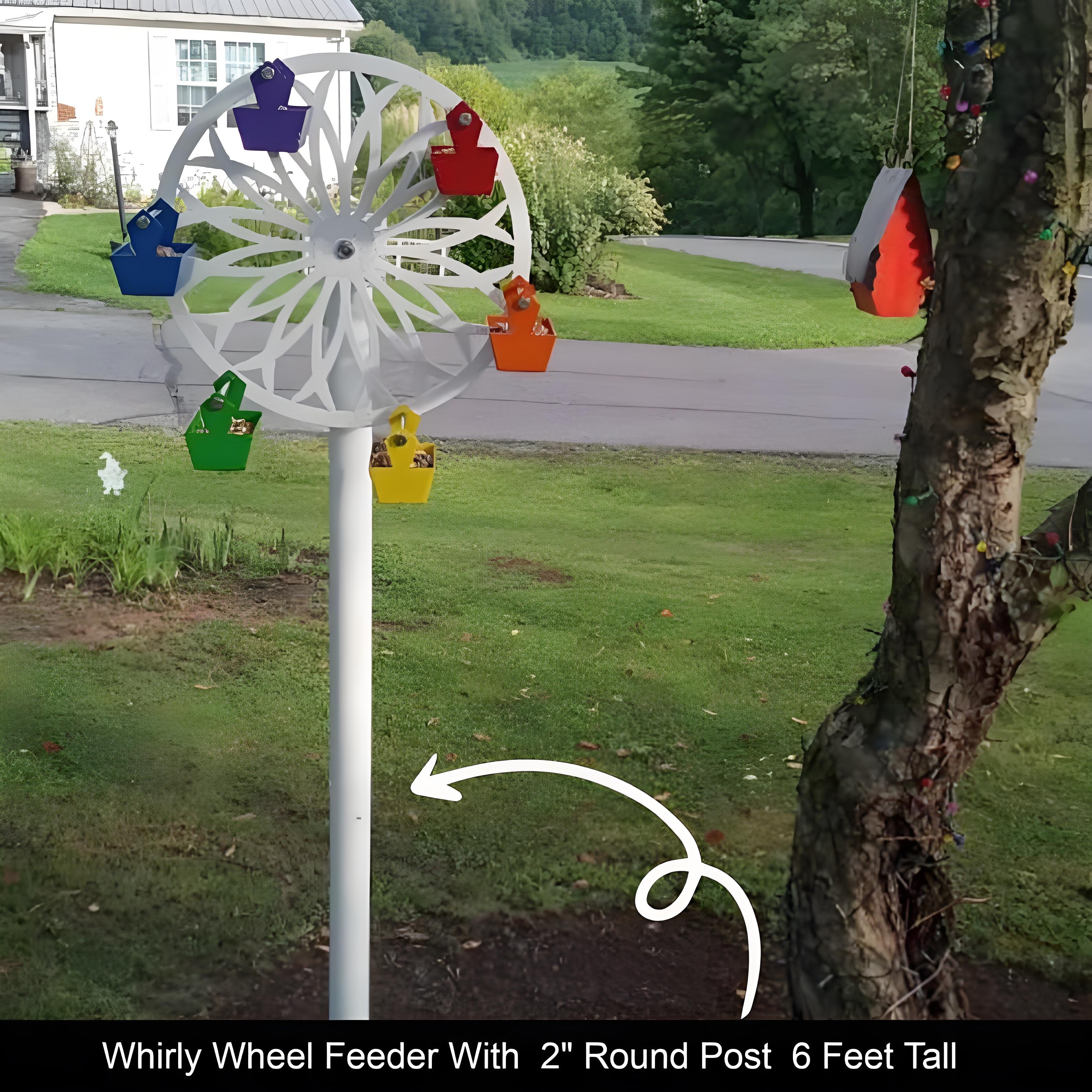 🔥LAST DAY 49% OFF🎡Ferris Wheel Bird Feeder- 🐦Fun Toys for Feathered Friends
