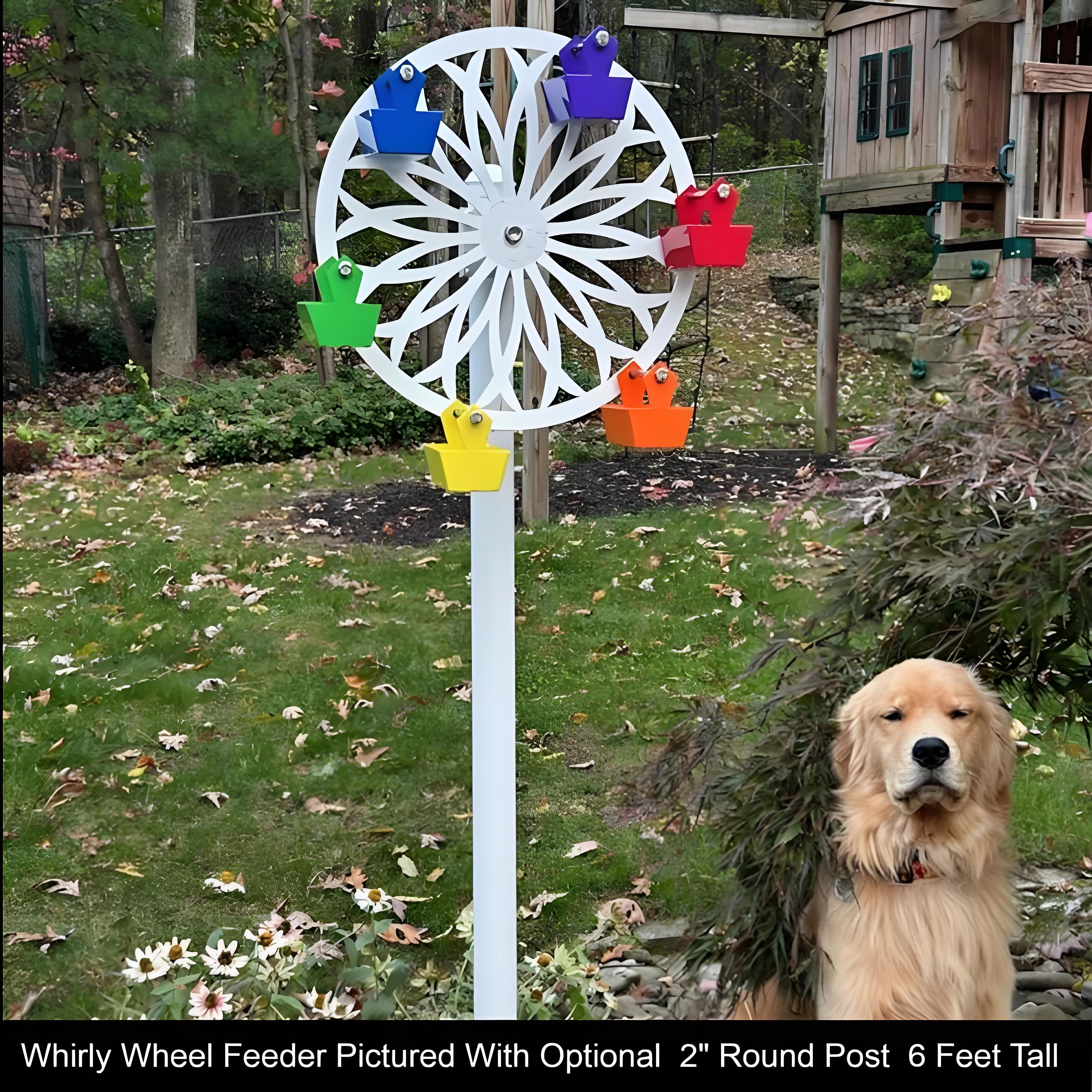 🔥LAST DAY 49% OFF🎡Ferris Wheel Bird Feeder- 🐦Fun Toys for Feathered Friends