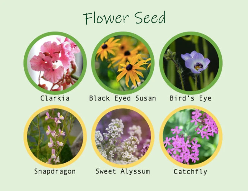 🎁Mother's Day Sale 49% OFF💌Plantable Flower Seed Paper Mother's Day Card