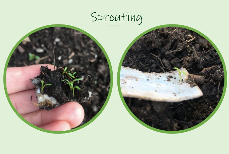 🎁Mother's Day Sale 49% OFF💌Plantable Flower Seed Paper Mother's Day Card