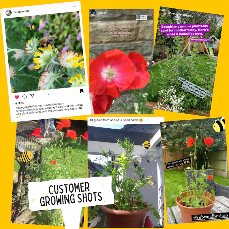 🎁Mother's Day Sale 49% OFF💌Plantable Flower Seed Paper Mother's Day Card