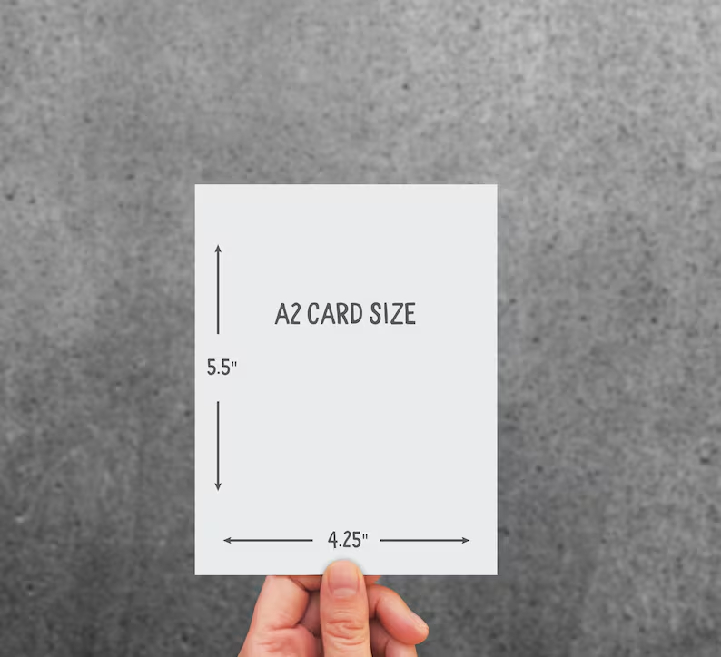 🎁Funny birthday card / 🛸UFO take our leaders