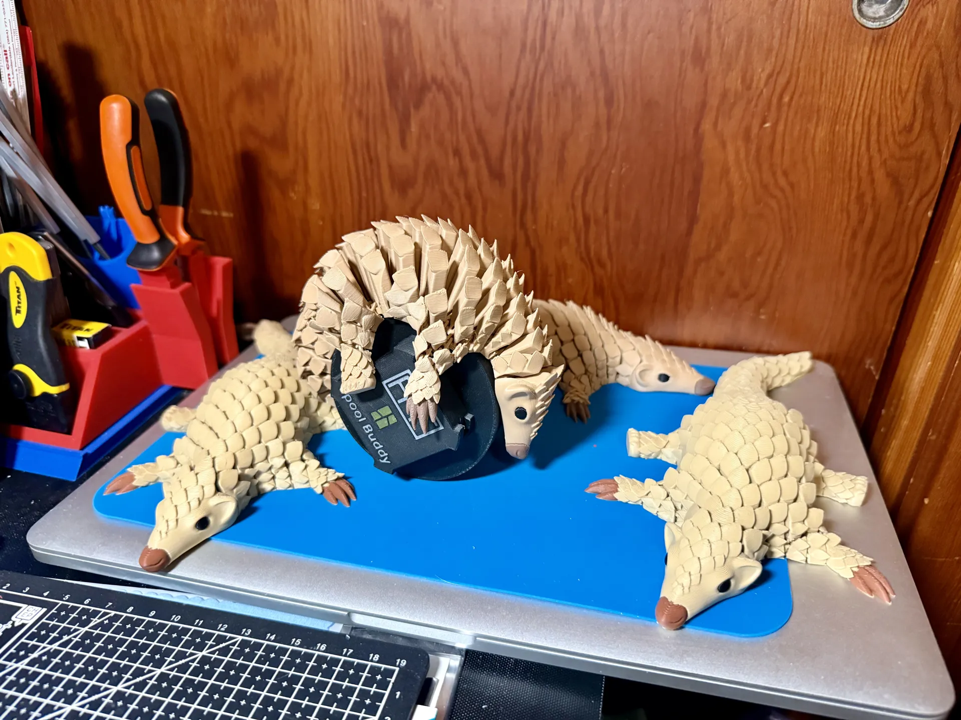 3D Printing - Movable Pangolin Model