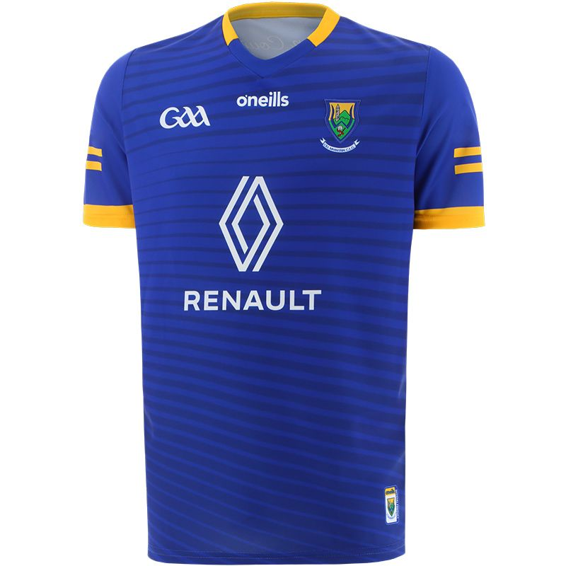 Men's Wicklow GAA 2 Stripe 2022 Home Jersey