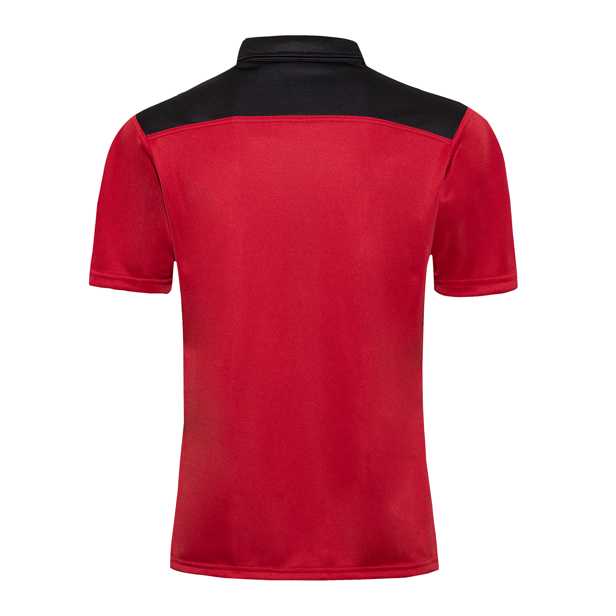 Polo Wales Rugby 2019 Jersey