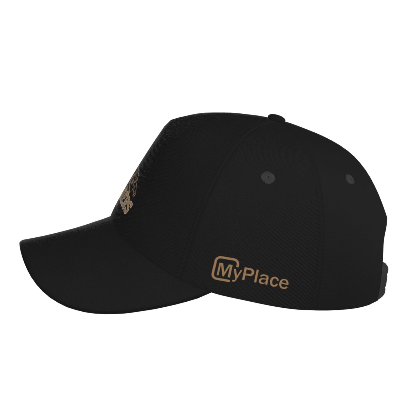 Penrith Panthers Baseball Cap CAP3163