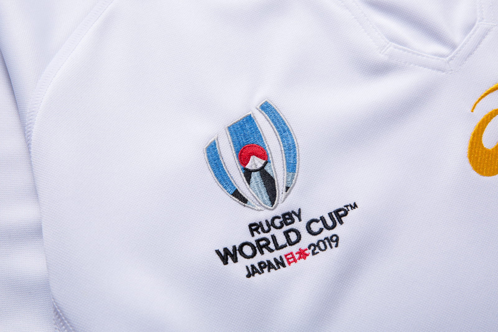 South Africa Springbok RWC 2019 Away Jersey