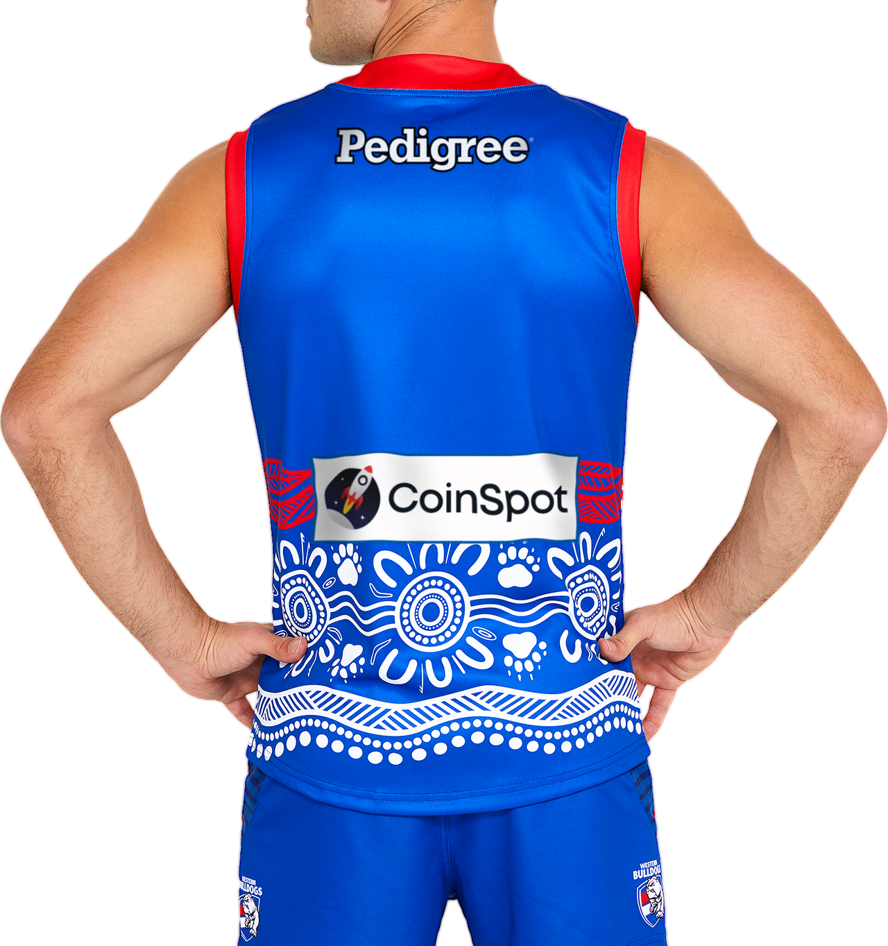 AFL Western Bulldogs 2022 Guernsey