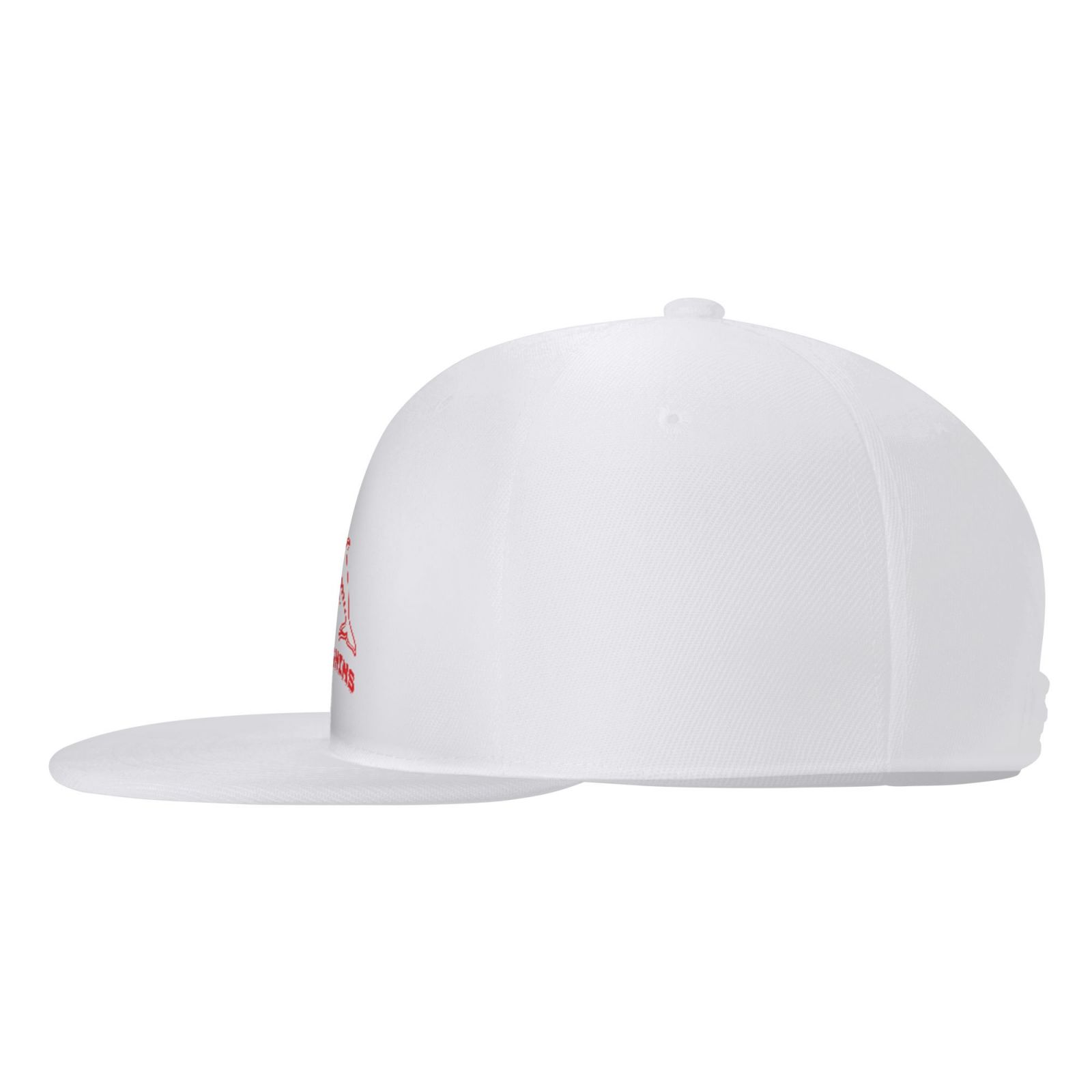 Dolphins Logo Baseball Cap CAP1314