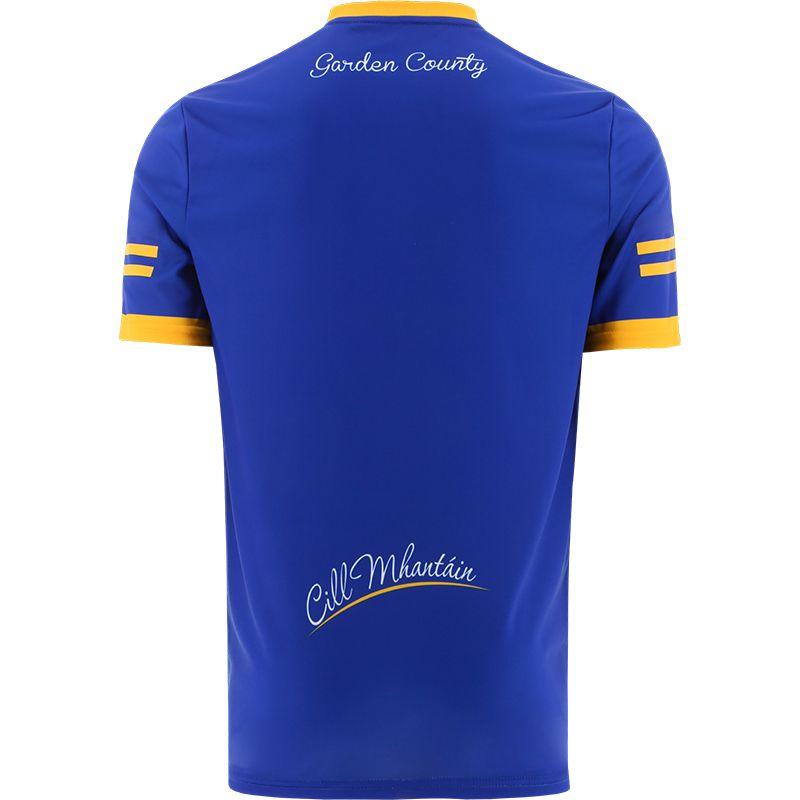 Men's Wicklow GAA 2 Stripe 2022 Home Jersey
